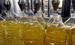 Türkiye ayçiçek yağında dünya lideri: İhracat 1 milyar dolara koşuyor