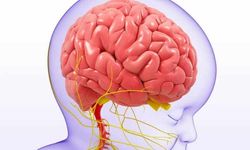 Çocukluk çağında gizli tehlike: Beyin tümörleri