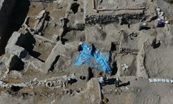 Anadolu'da 4 bin 500 yıl önce meyveler kurutularak yenmiş