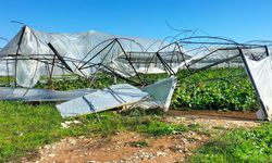 Antalya'da hortum nedeniyle seralar hasar gördü