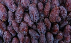 Türkiye'den Filistin'e hurmada kota desteği