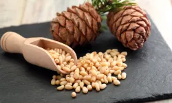 Çam fıstığı: Yalnızca bir lezzet değil, kültürel ve doğal bir hazine