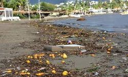 Bodrum'da yağmur suyuyla denize taşınan atıklar kıyıya vurdu