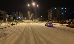 Ardahan'da kar yağışı etkili oldu