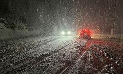 Kars'ta kar yağışı 17 yolu ulaşıma kapattı