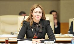 Güney Kıbrıs’ın iddialarına MHP'li Karakoç’tan sert cevap: "Türkiye Avrupa’yı hiçbir zaman tehdit etmemiştir"