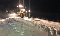 Kars'ta kar nedeniyle kapanan 8 köy yolu ulaşıma açıldı, mahsur kalan 2 araç kurtarıldı