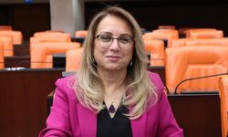 MHP'li Kılıç'tan taşra uzmanlarına destek: Düzenleme gerekiyor