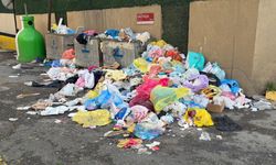 Maltepe'de 3 gündür toplanmayan çöplere vatandaşlar tepki gösterdi