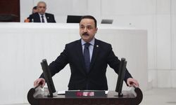 MHP'li Şanlıtürk’ten Ordu’nun turizm, ulaşım ve fındık sorunlarına acil destek çağrısı