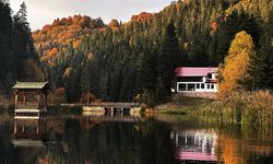 2025'in tarihin en sıcak ikinci yılı olması bekleniyor