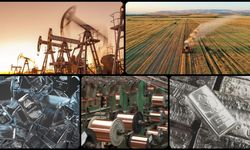 Fed indirimi sonrası emtia piyasalarında dalgalı seyir