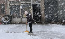 Van'da kar etkili oldu