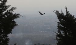 İran, hava kirliliğini azaltmak için Euro 5 standartlarındaki benzin üretimini yükseltmeyi planlıyor