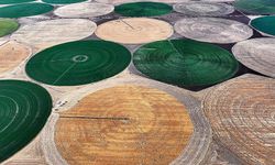 Lisanslı depoculukta hububat ve bakliyat için depolama süresi uzatıldı