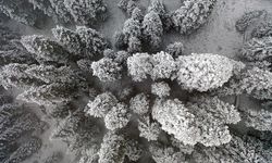 Ilgaz Dağı beyaza büründü