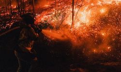 İspanya’da son 30 yılın en büyük orman yangını felaketi: 350 bin hektar kül oldu