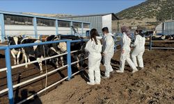 Uygulama çiftliği sahada eğitim veriyor