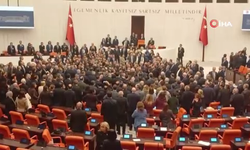 TBMM'deki bütçe görüşmelerinde yumruklu kavga