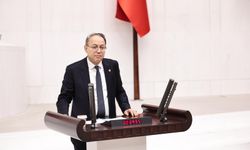 MHP'li İlyas Topsakal: Dil, millet olmanın hem harcı hem evidir