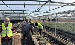 Malatya'dan Türkmenistan'a 50 bin fidan desteği