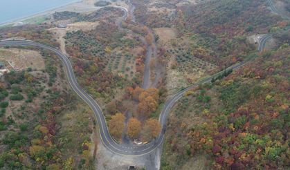 Tekirdağ'daki ormanlar sonbahar renklerine büründü