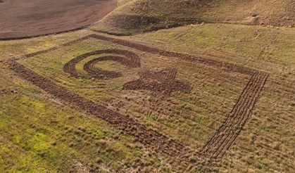 Amasyalı çiftçi tarlasına Türk bayrağı çizdi