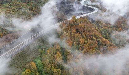 Ordu'da etkili olan sis sonbahar renkleriyle güzel görüntü oluşturdu