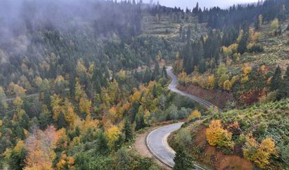 Trabzon'un yüksek kesimleri sonbahar renklerine büründü