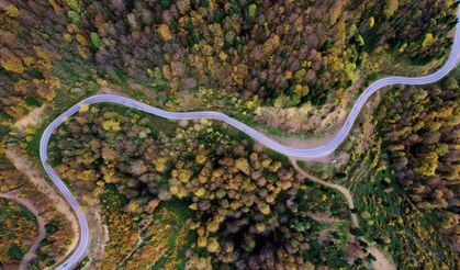 Sakarya'da film sahnelerini aratmayan manzaralar hayran bıraktı