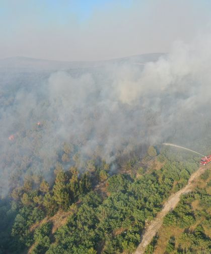 Balıkesir'de tarım arazisinde çıkıp ormanlık alana sıçrayan yangına müdahale ediliyor