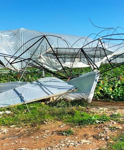 Antalya'da hortum nedeniyle seralar hasar gördü