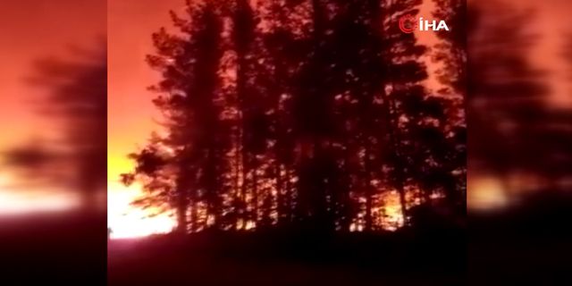 Şili'de orman yangını yerleşim yerlerine sıçradı