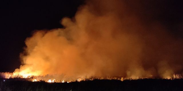 İznik Gölü'nde korkutan yangın