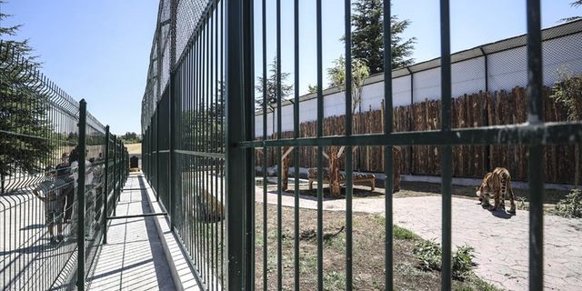 Gölbaşı'ndaki özel hayvanat bahçesinin ruhsatı iptal edildi