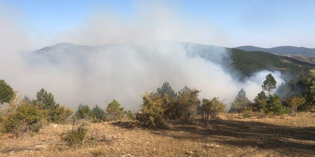 Çorum'daki orman yangını kontrol altına alındı
