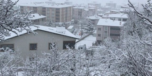 Samsun ve Tokat'ta kar yağışı etkili oldu