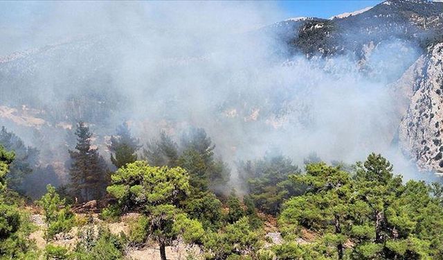 Antalya'nın Kaş ilçesinde çıkan orman yangını söndürüldü