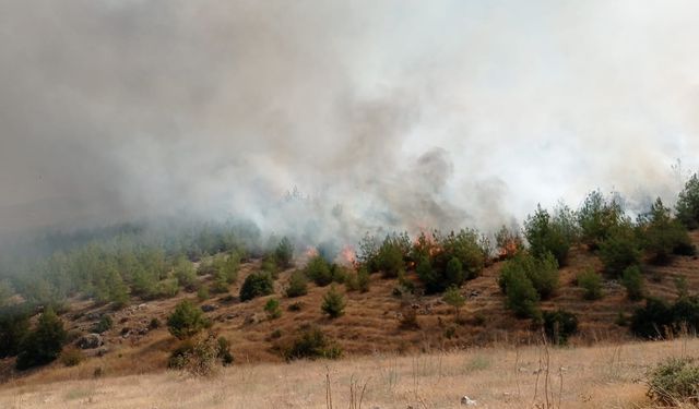 Kahramanmaraş'ta ormanlık alanda çıkan yangın söndürüldü