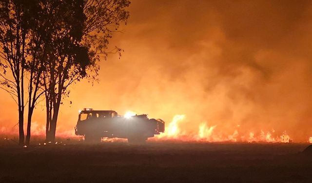 Avustralya'nın Queensland eyaleti yaklaşık 80 orman yangınıyla mücadele ediyor