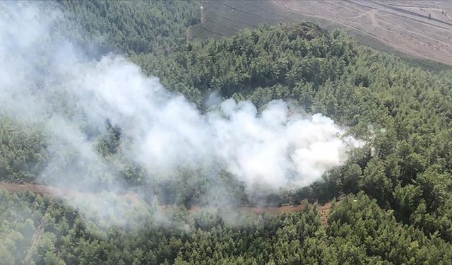 Muğla'da çıkan orman yangını söndürüldü