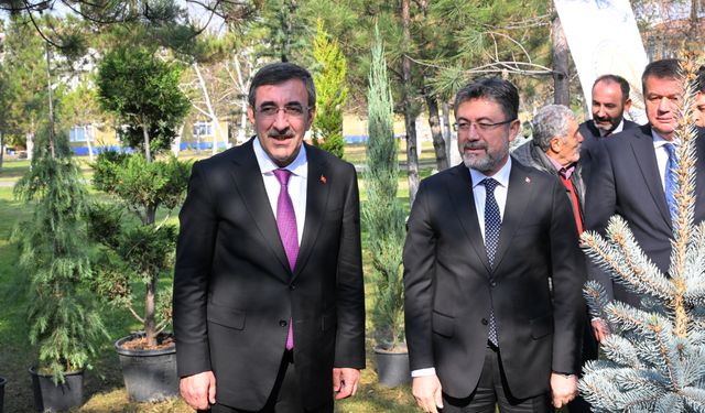 Cumhurbaşkanı Yardımcısı Yılmaz, Milli Ağaçlandırma Günü dolayısıyla fidan dikti