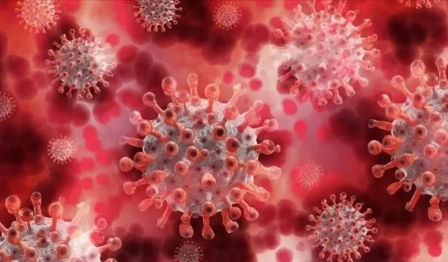Çin'de yeni ölümcül virüs