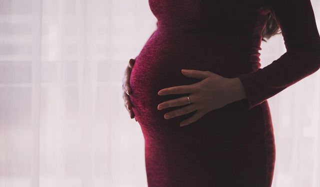 Tüp bebek merkezinin lisansı, embriyo kaybı sebebiyle askıya alındı