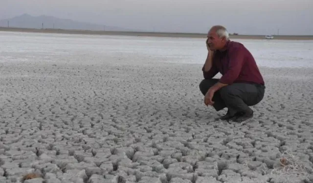 Azerbaycan topraklarının yüzde 76'sında kuraklık riski var