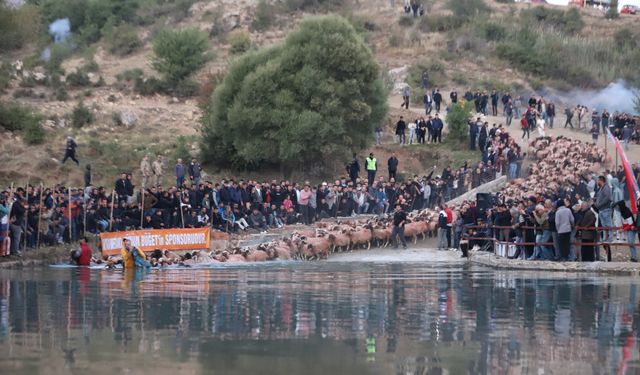 Burdur'da sudan koyun geçirme geleneği asırlardır yaşatılıyor