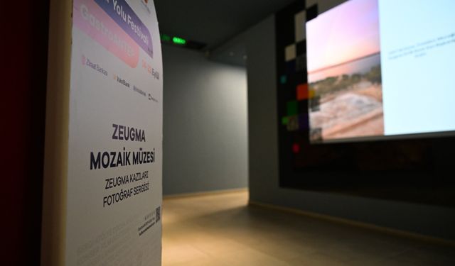 Zeugma Mozaik Müzesi 3 sergiye ev sahipliği yapıyor