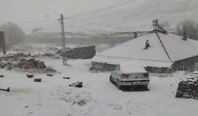 Ahlat’ta nisan ayında kar sürprizi