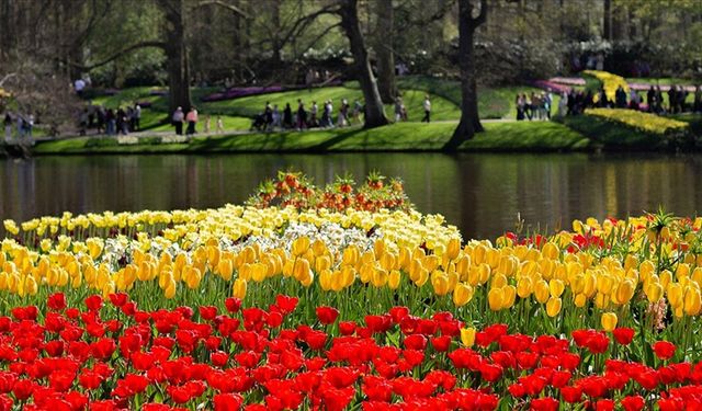 Hollanda'da dünyanın en büyük lale bahçelerinden Keukenhof, 76'ncı kez ziyarete açıldı