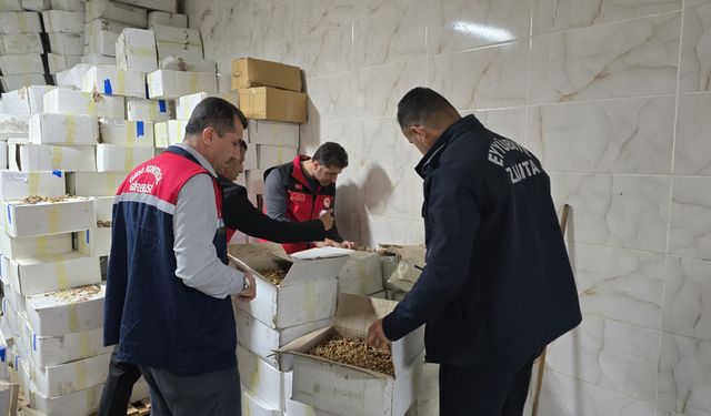 Şanlıurfa'da baklava üretiminde kullanılacak 11 ton küflenmiş ceviz ele geçirildi